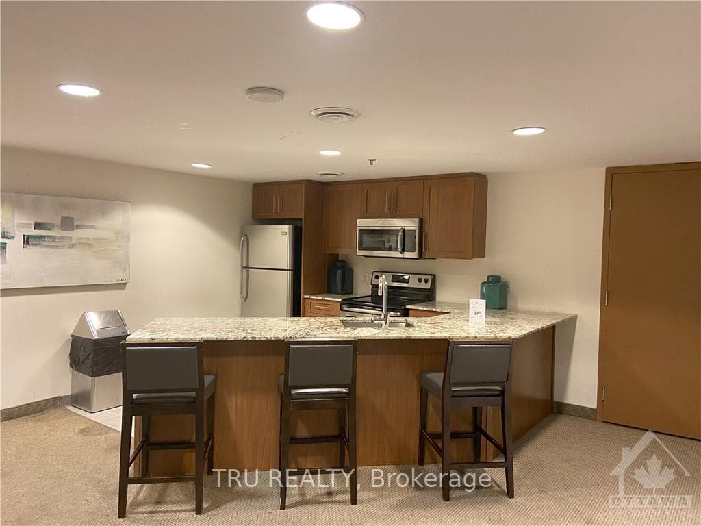 242 RIDEAU Street Unit 508 photo 23