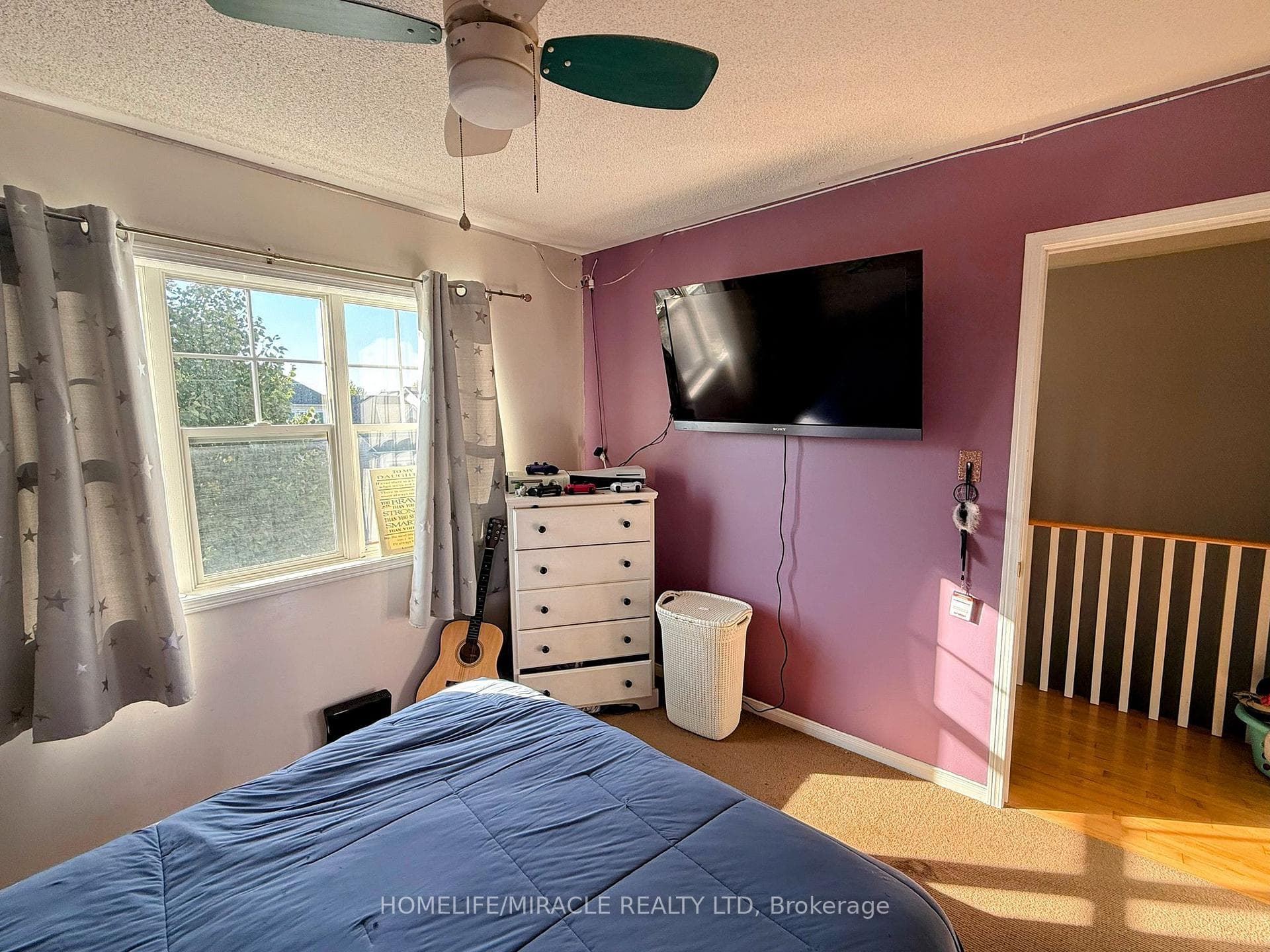 17 Bonnette Street photo 17