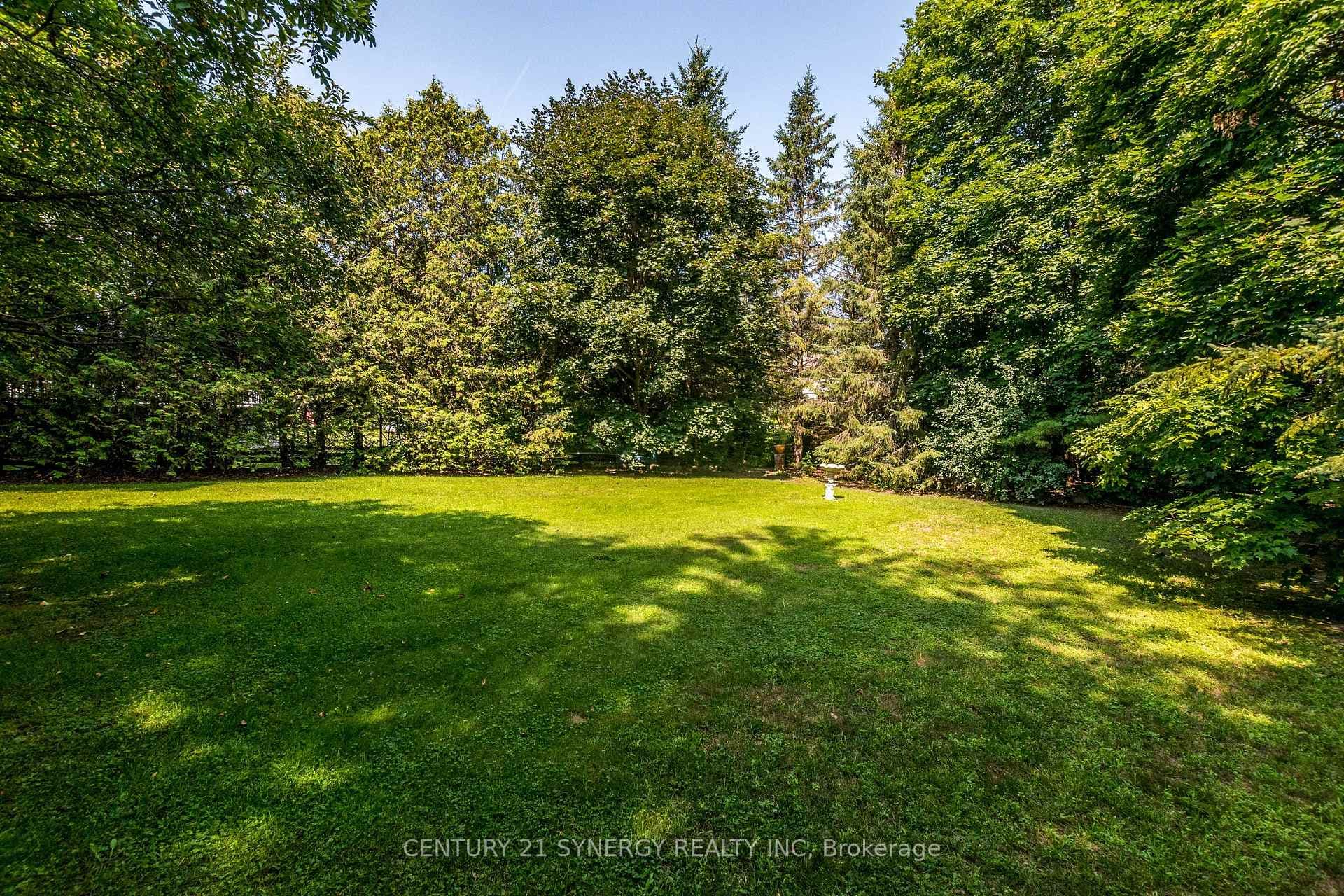 6646 Cherrystone Drive photo 36
