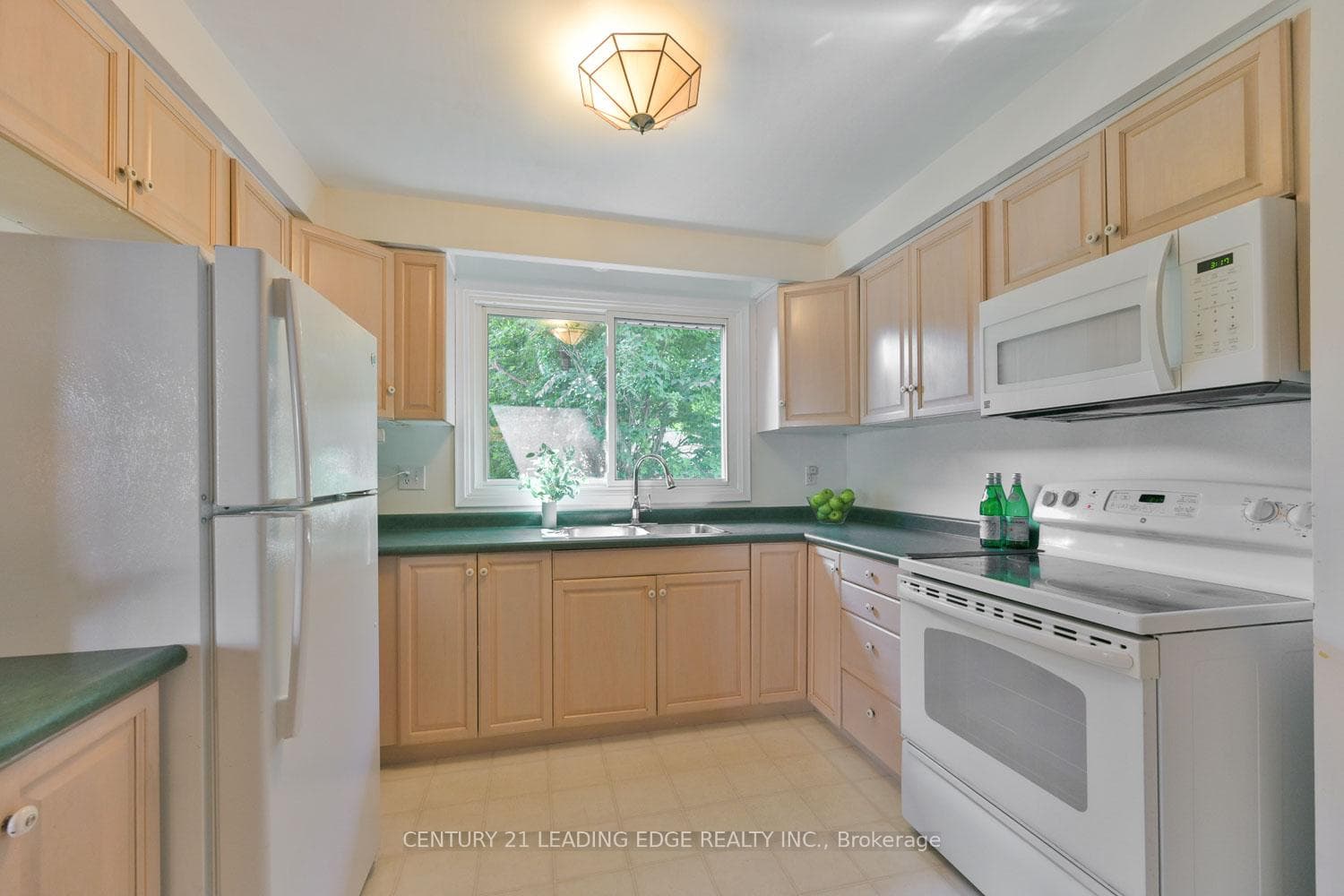31 Fred Varley Drive photo 12