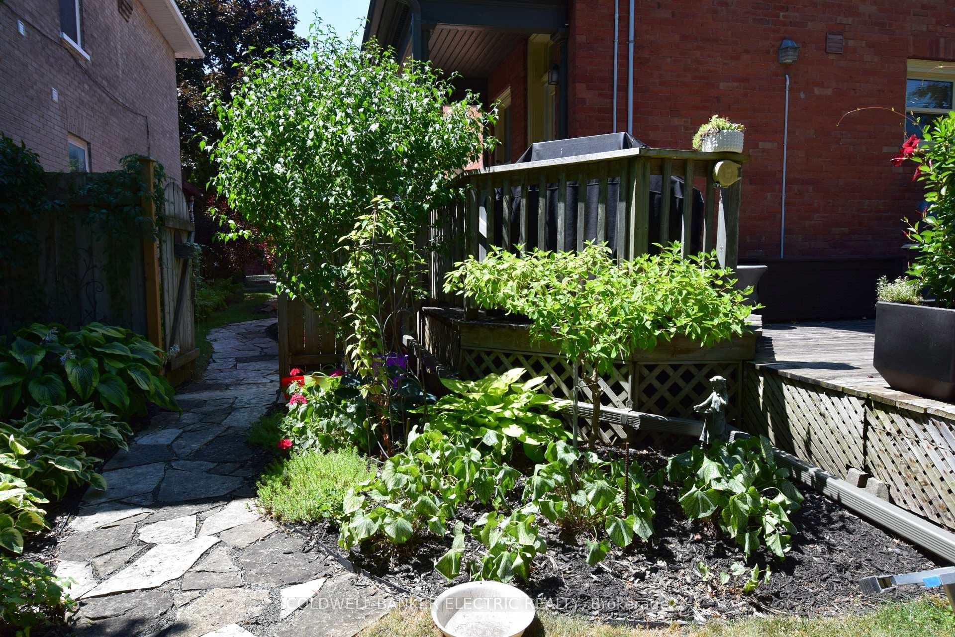 310 Pearl Avenue photo 33