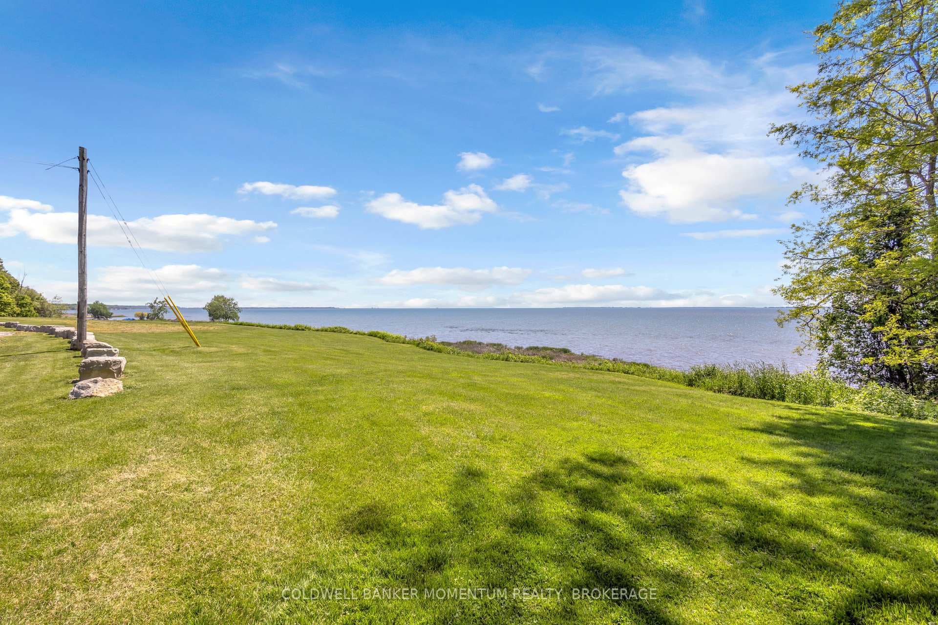 71 Wolven Street photo 9
