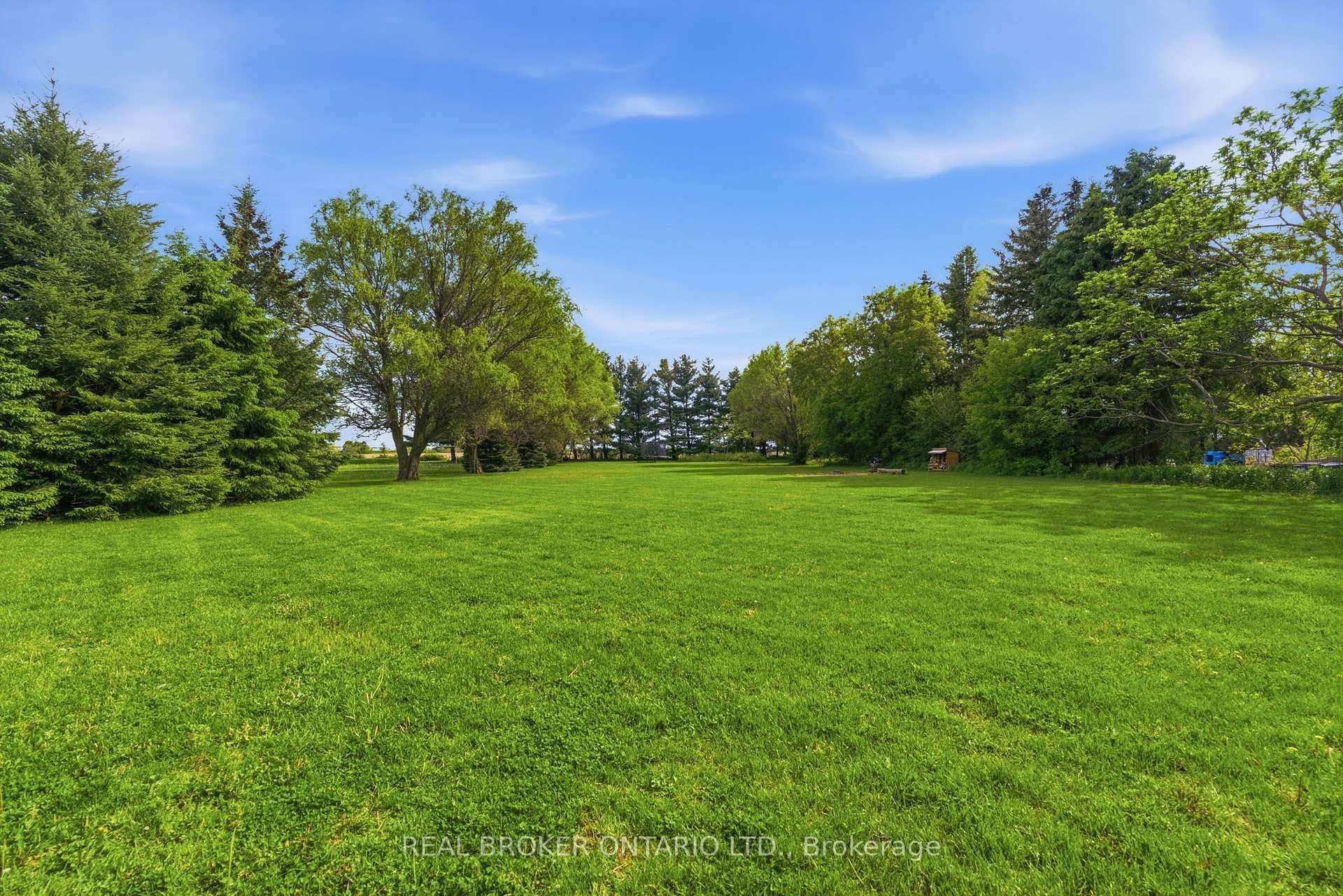9717 Dickenson Road photo 49