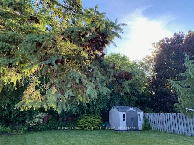 12 Grovetree Place photo 41