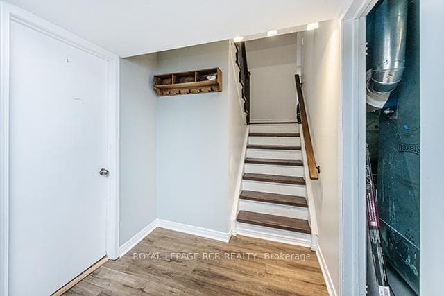 16 Cardwell Street photo 21