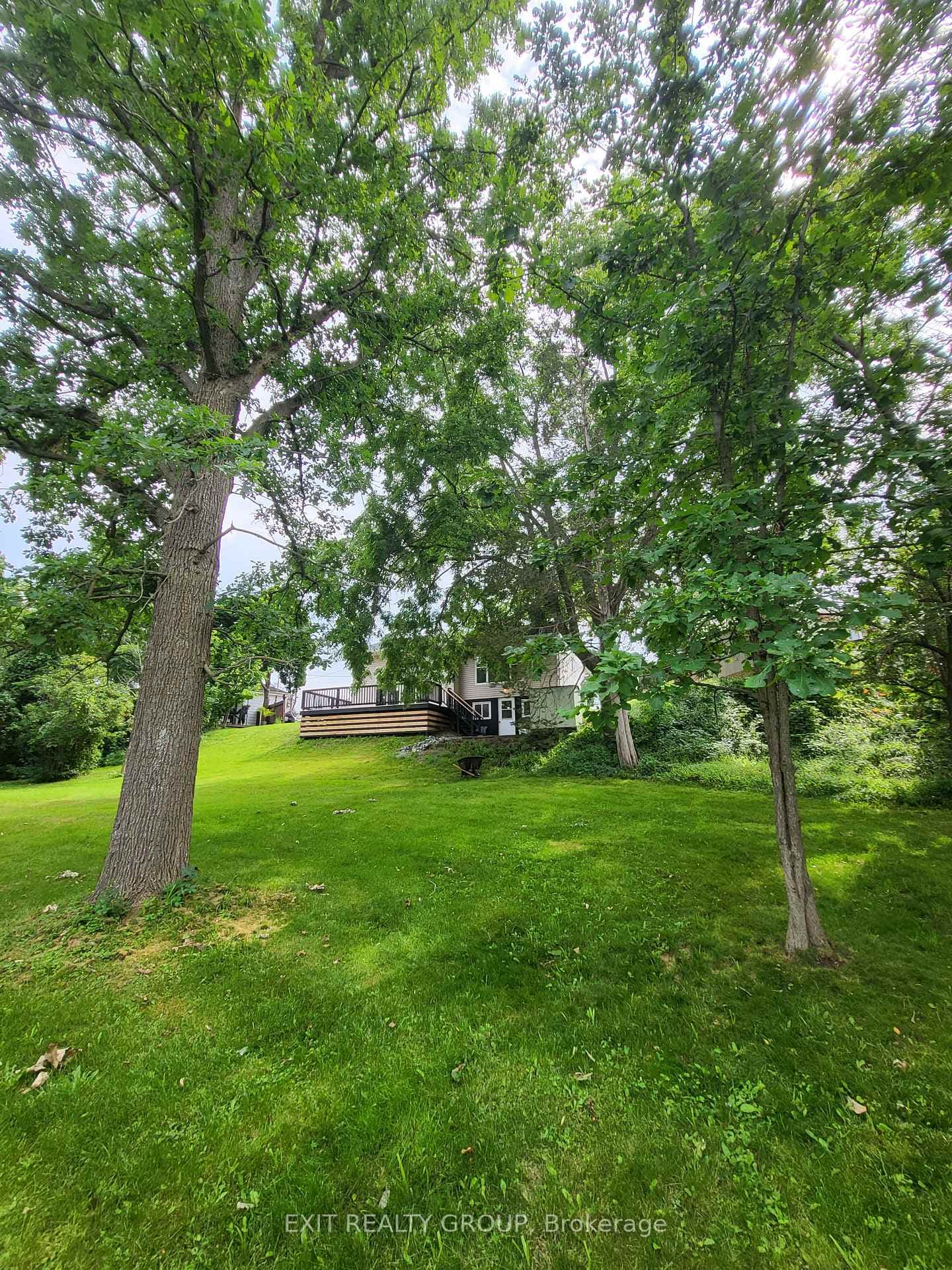 117 Orchard Drive photo 29