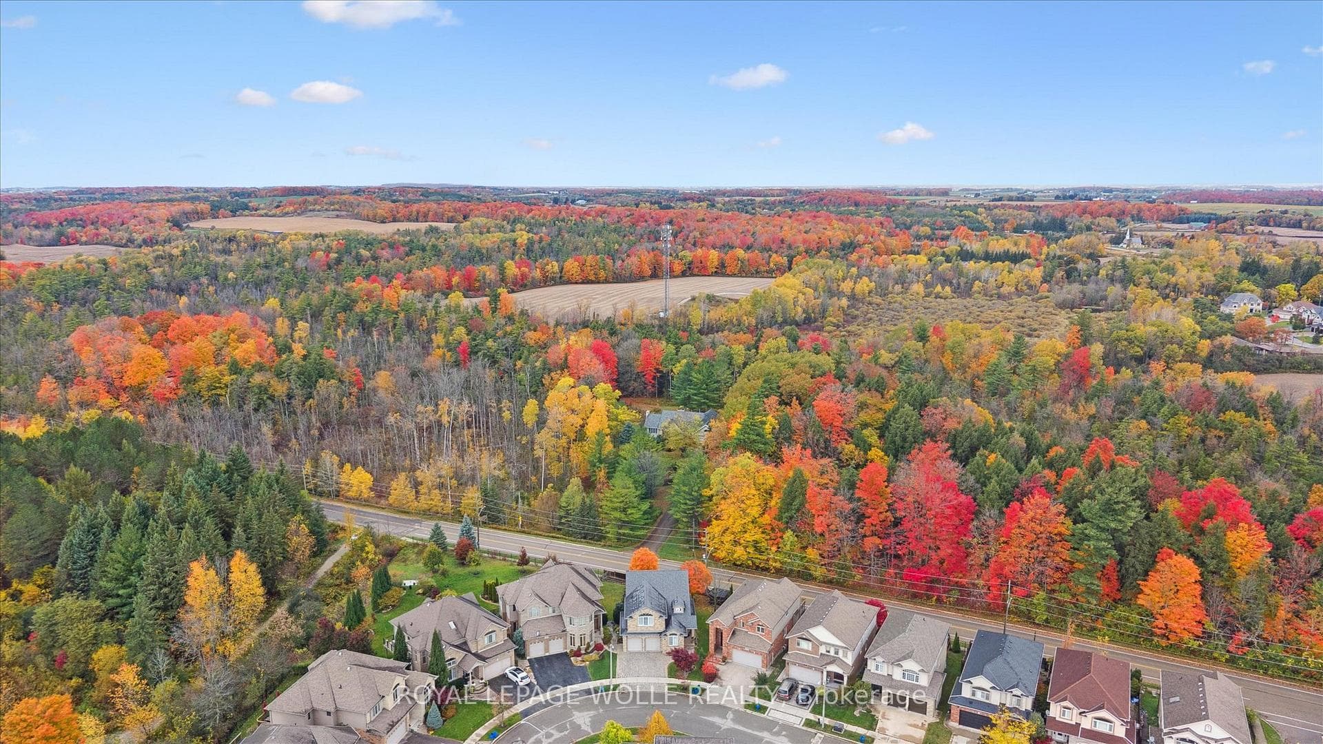 531 Wood Nettle Way photo 38