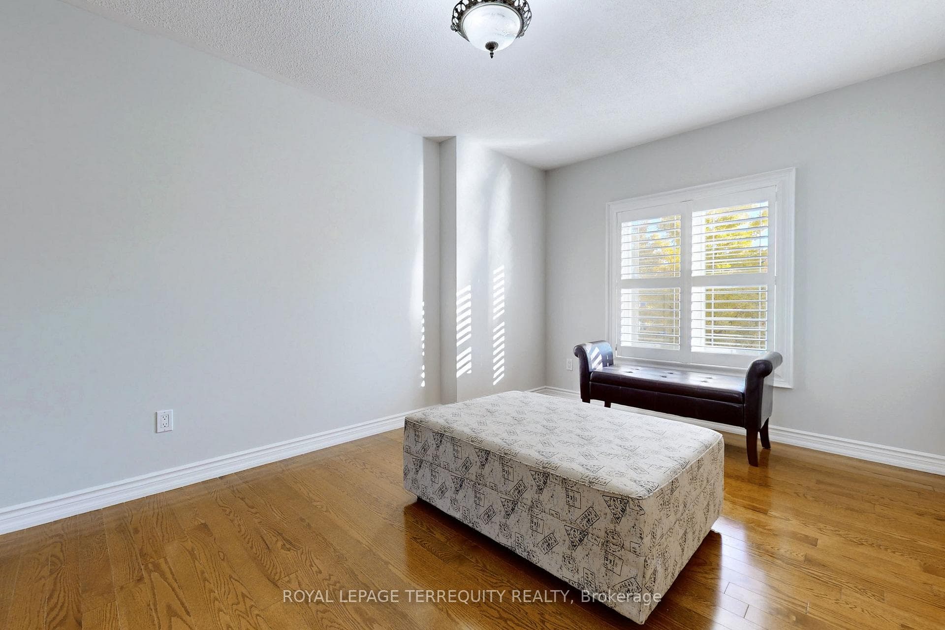12 William Davidson Street photo 26