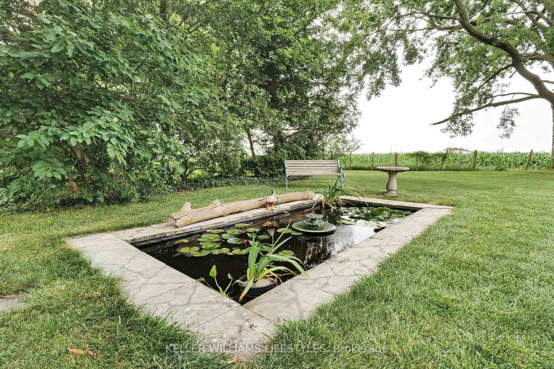 Pond