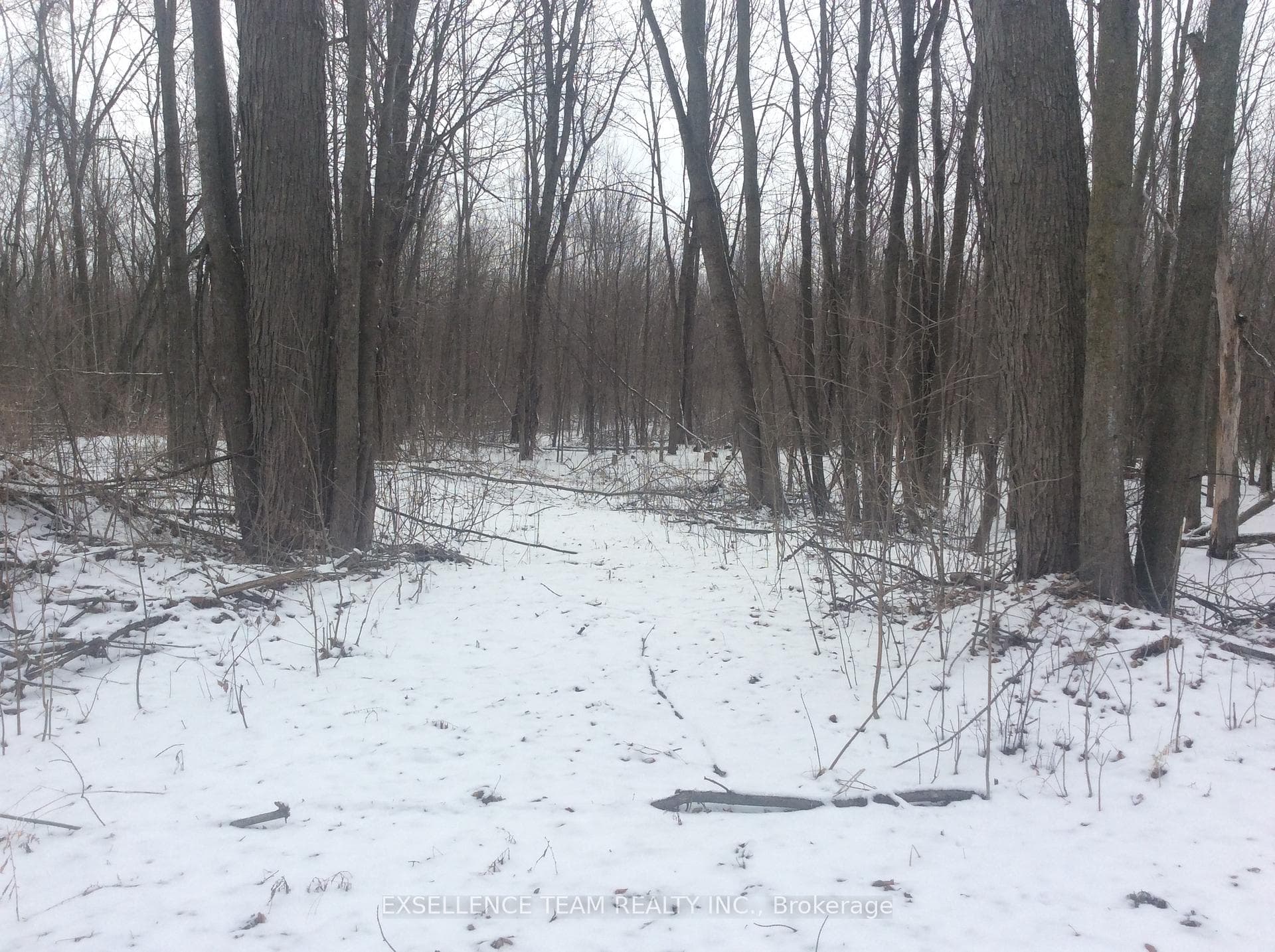 Trails