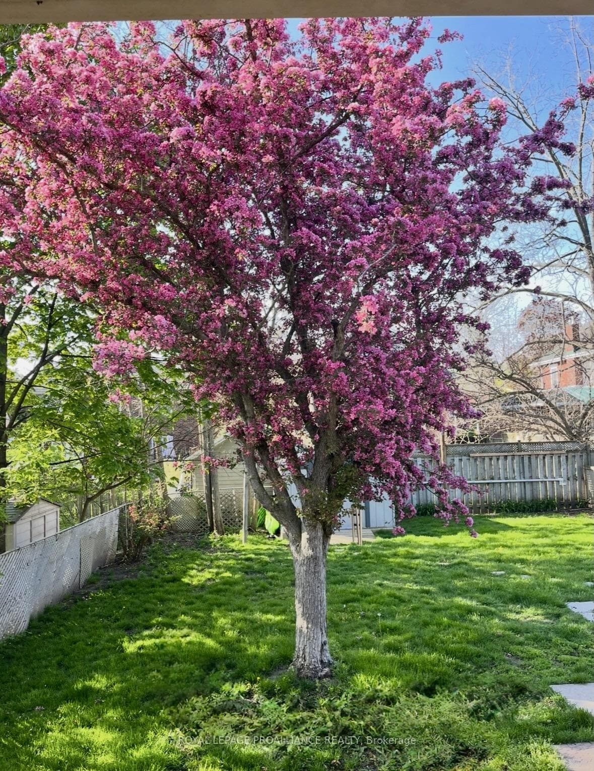 115 Henry Street photo 34