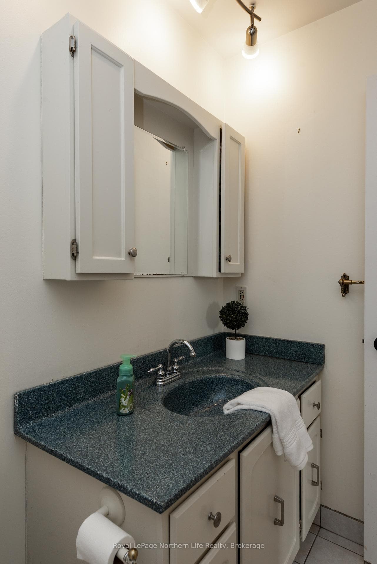 47 Harris Drive photo 28