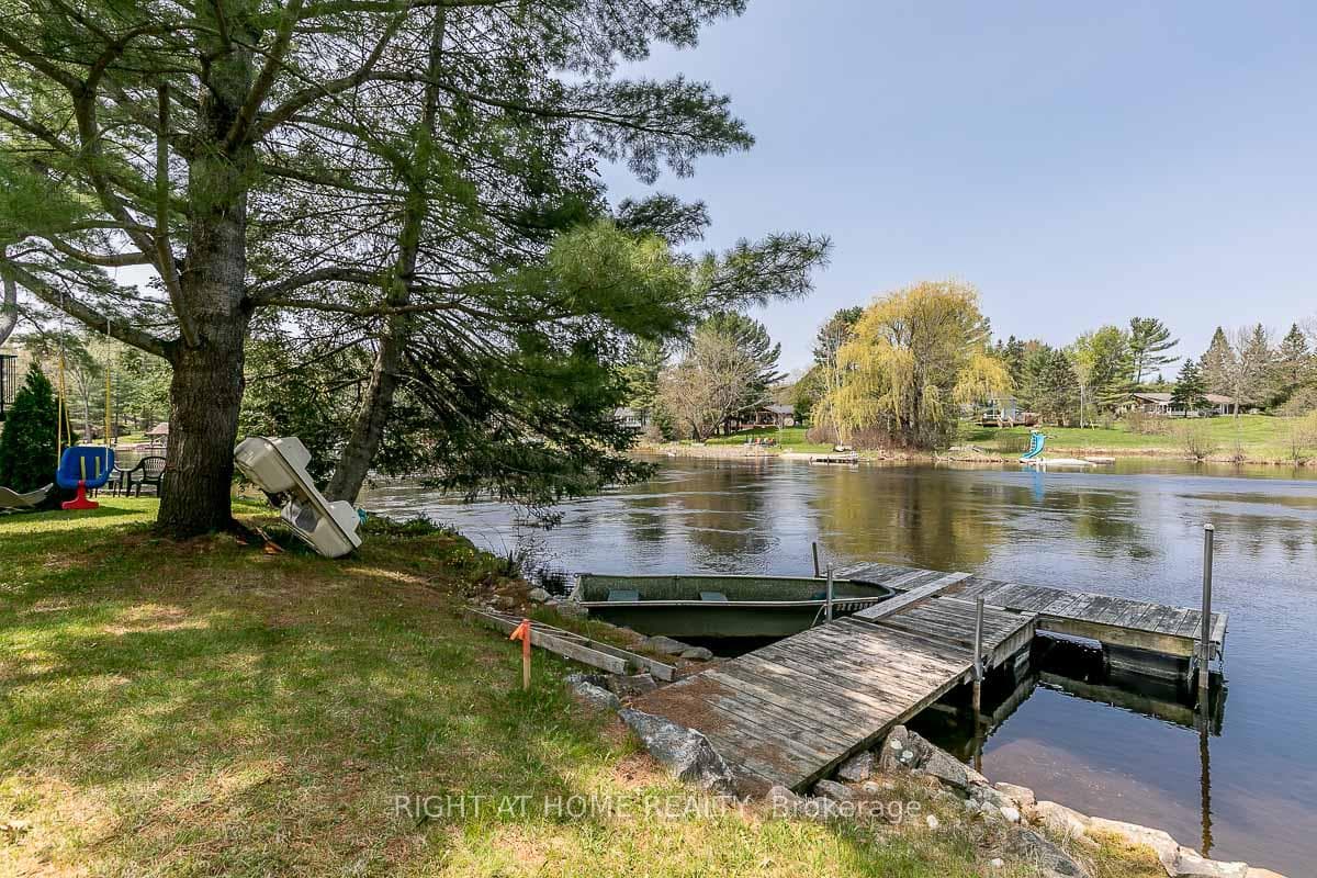 Jump into the River or Fish off the Dock!