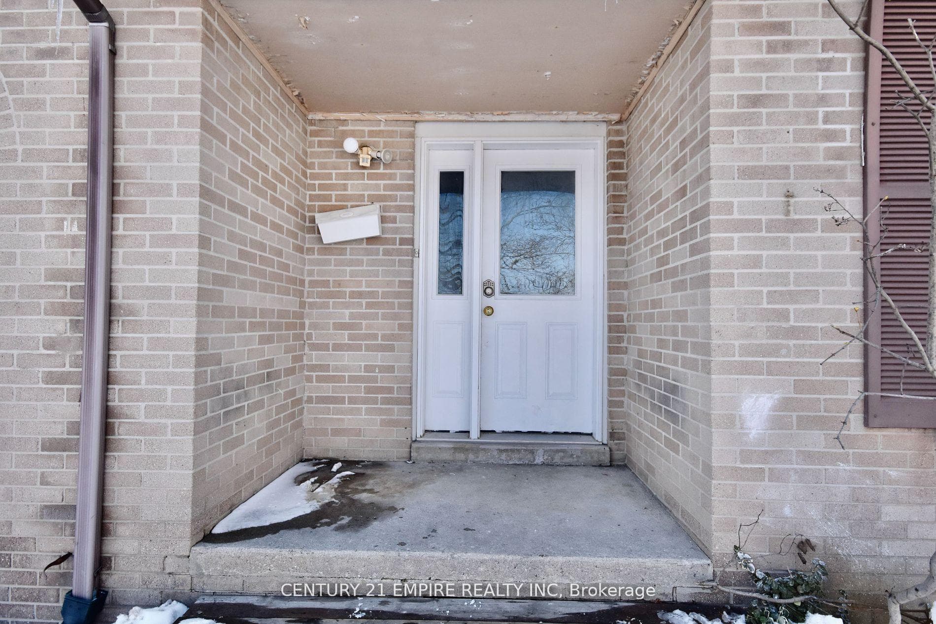 24 SYLVIA Street photo 8