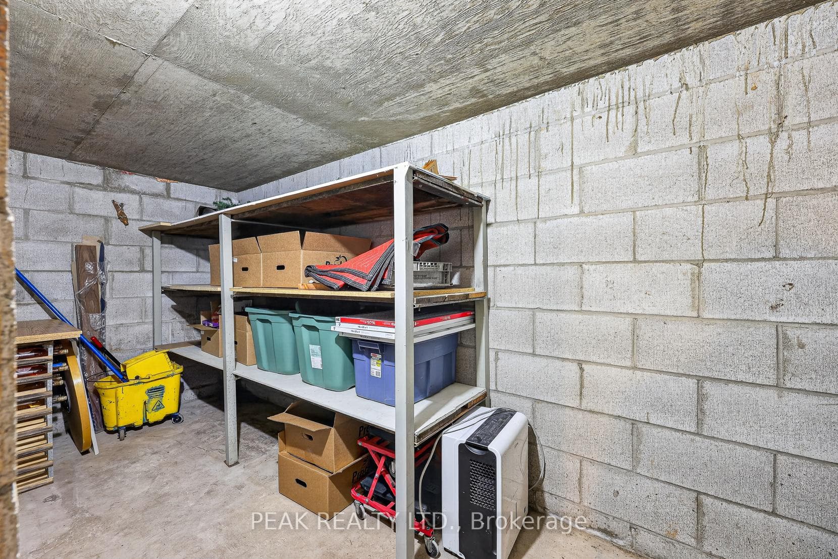 269 Robinson Street photo 48