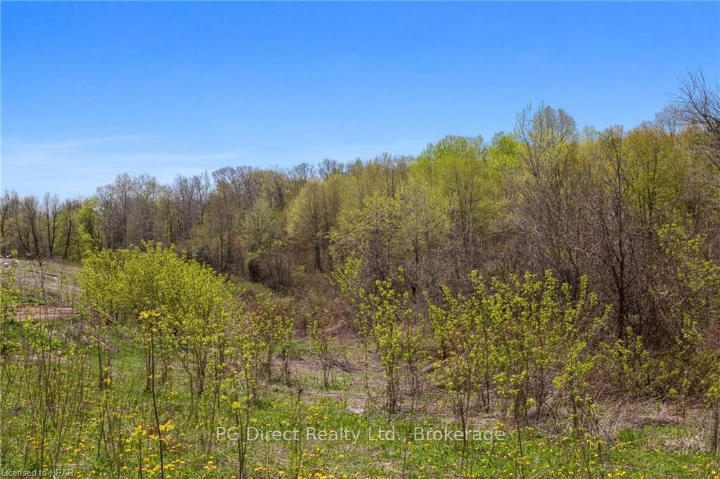 254 LONG REACH Road photo 2