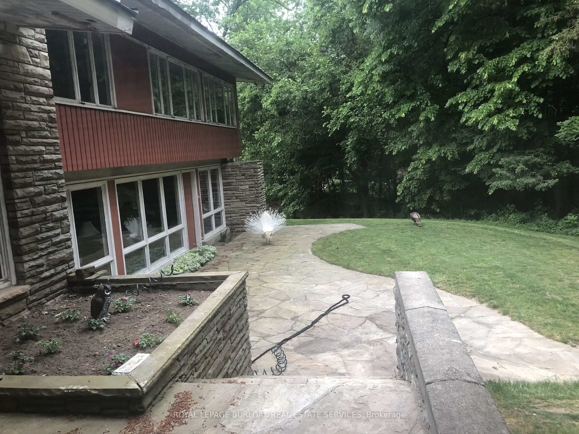 55 Gibson Drive photo 48