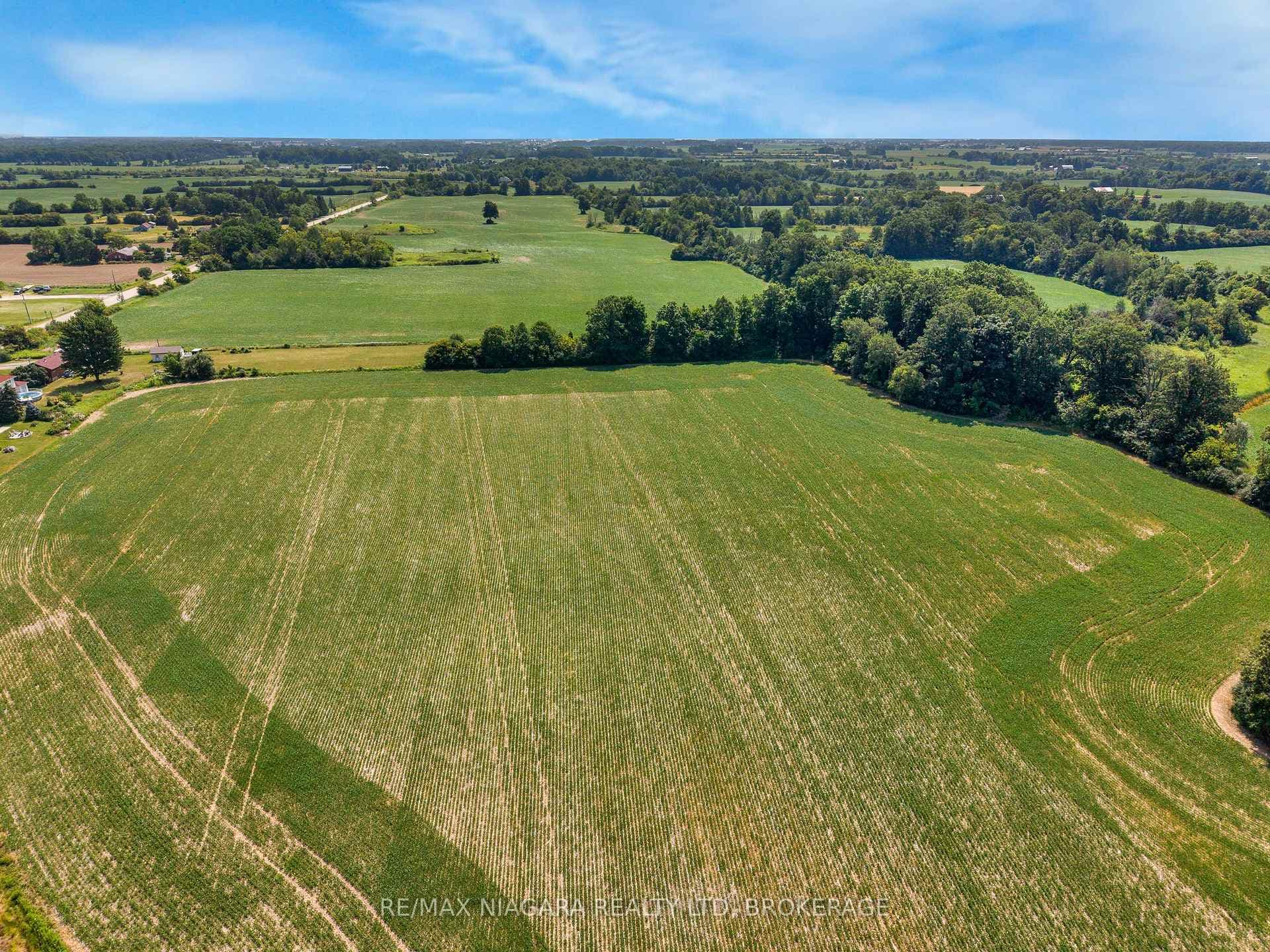 PT LT 1 Haldibrook Road photo 14