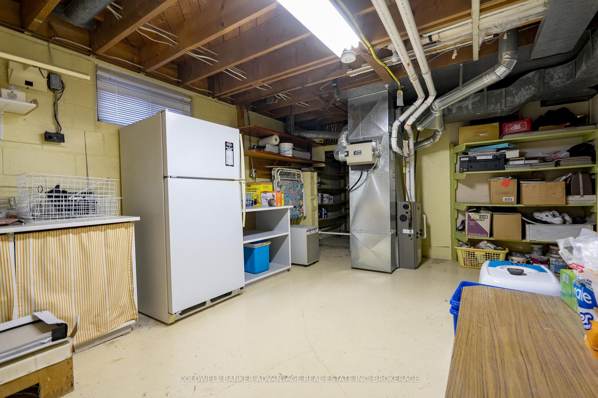 17 Wardrope Avenue photo 29