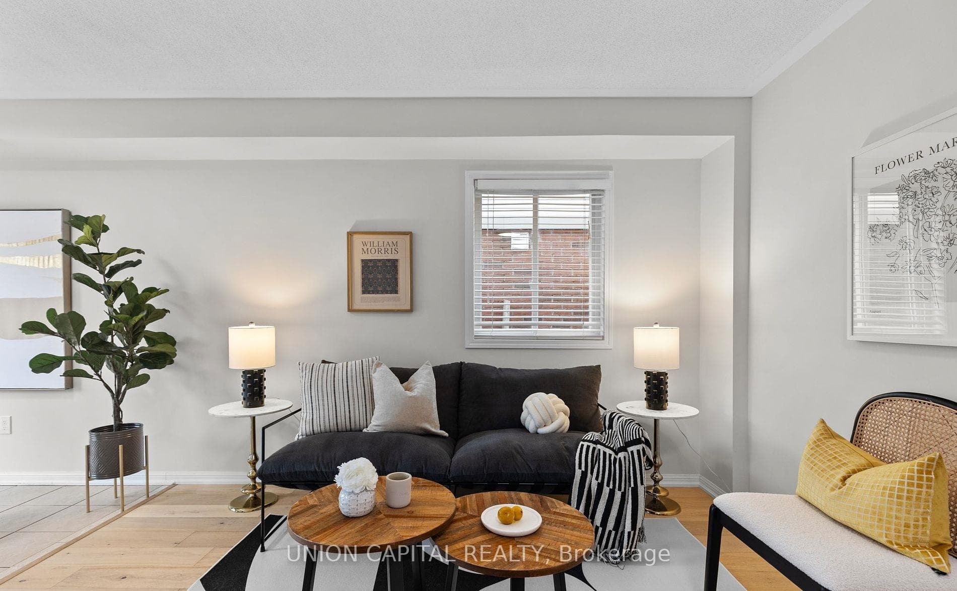 26 Ridwell Street photo 6