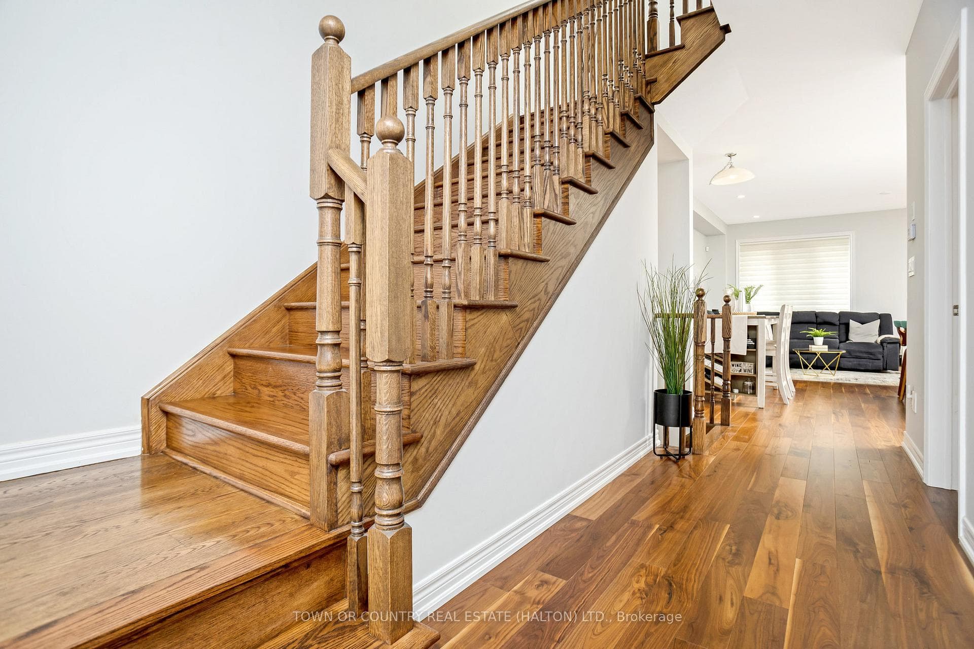 54 Clifford Crescent photo 6
