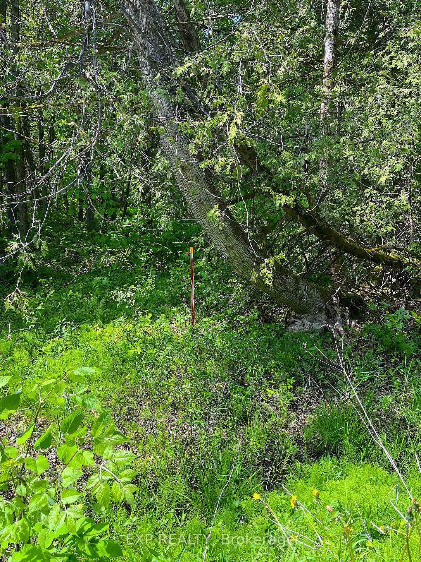 00 Johnston Road photo 5
