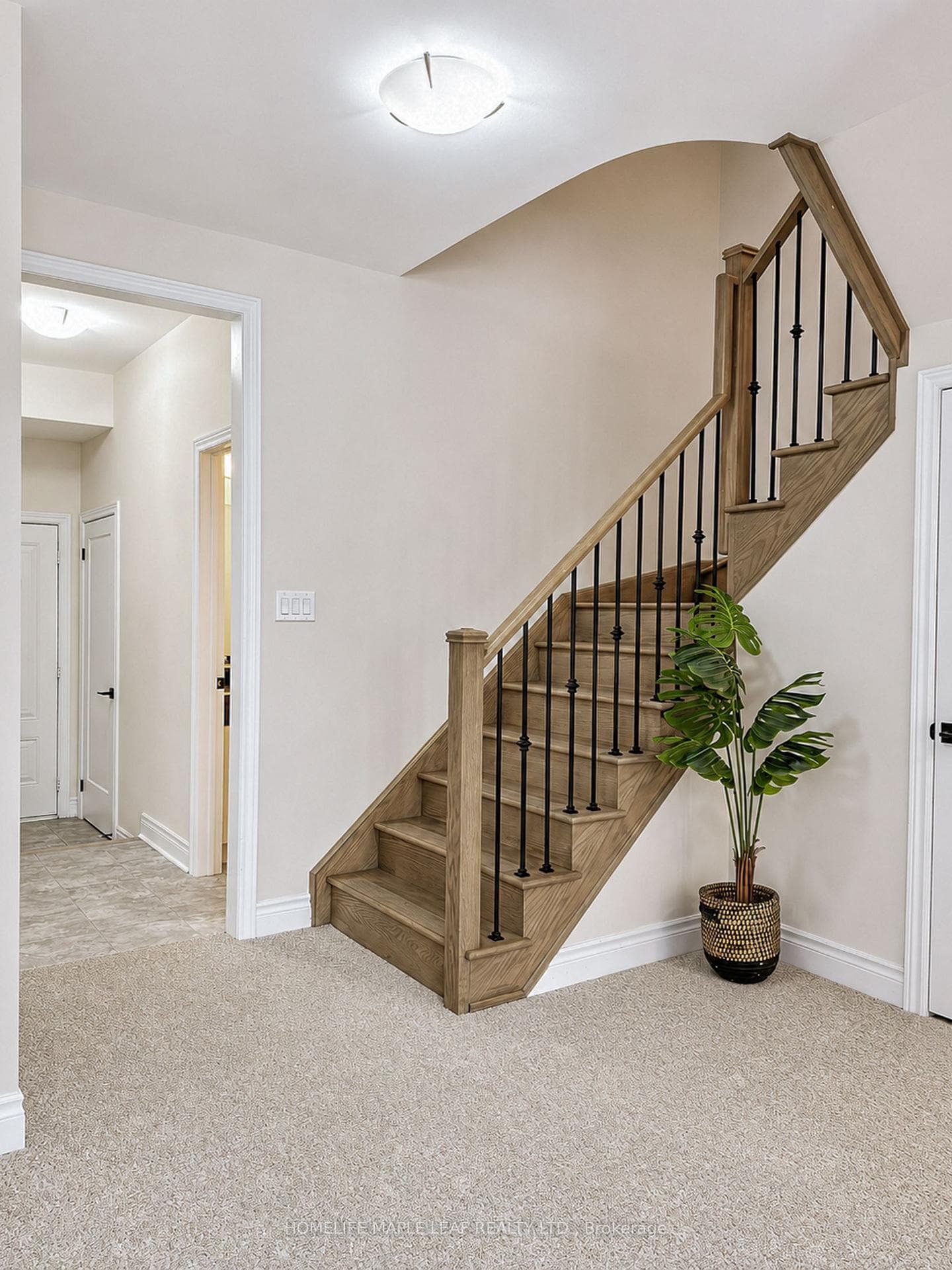 11 Aylin Crescent photo 7