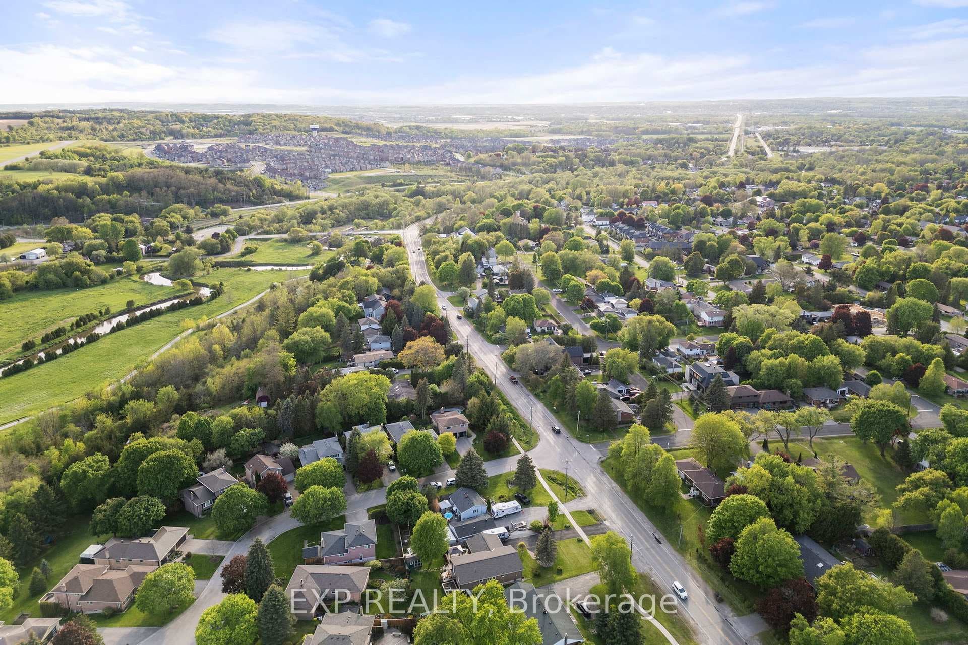 217 Mount Albert Road photo 44