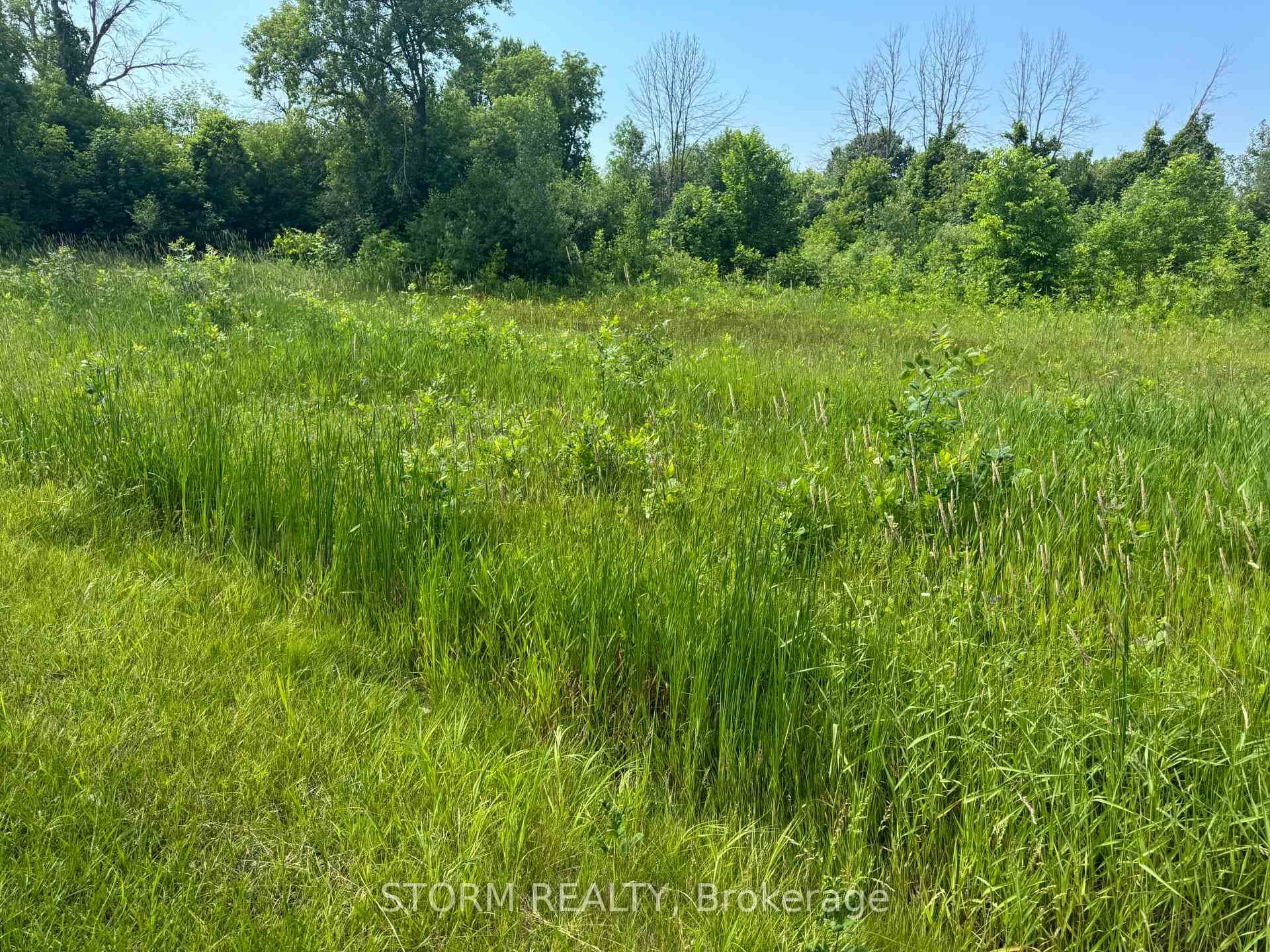 Lot 18 County 18 Road photo 5
