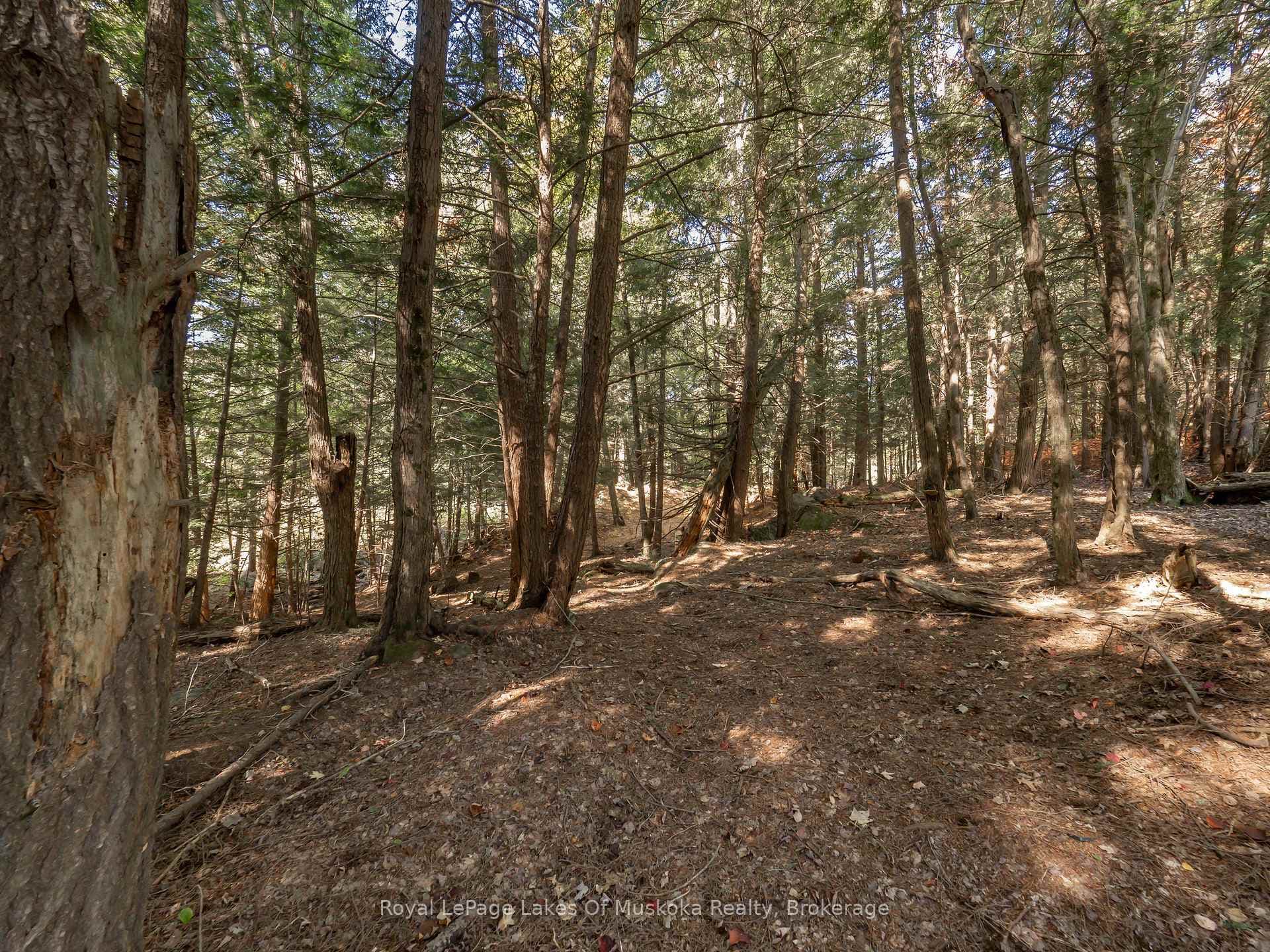 780 MANITOBA Street photo 26