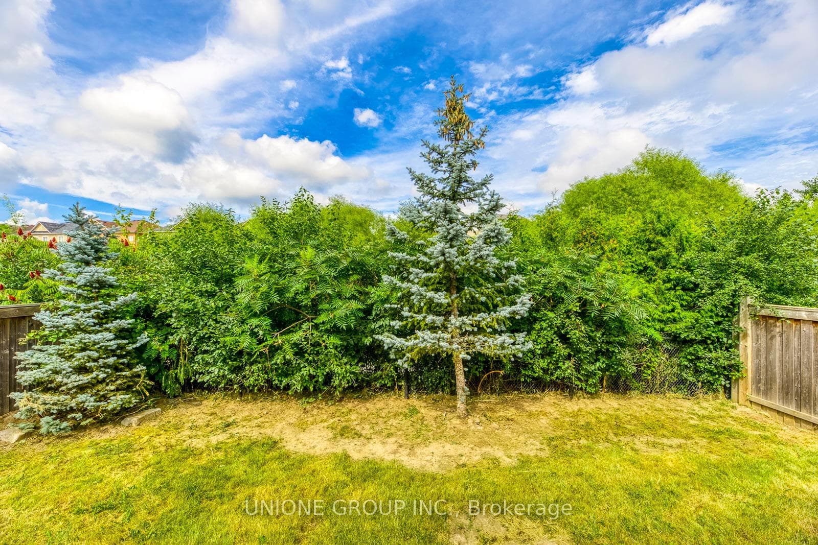 3125 Trailside Drive photo 48