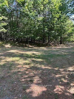 2875 County Road 21 Road photo 7
