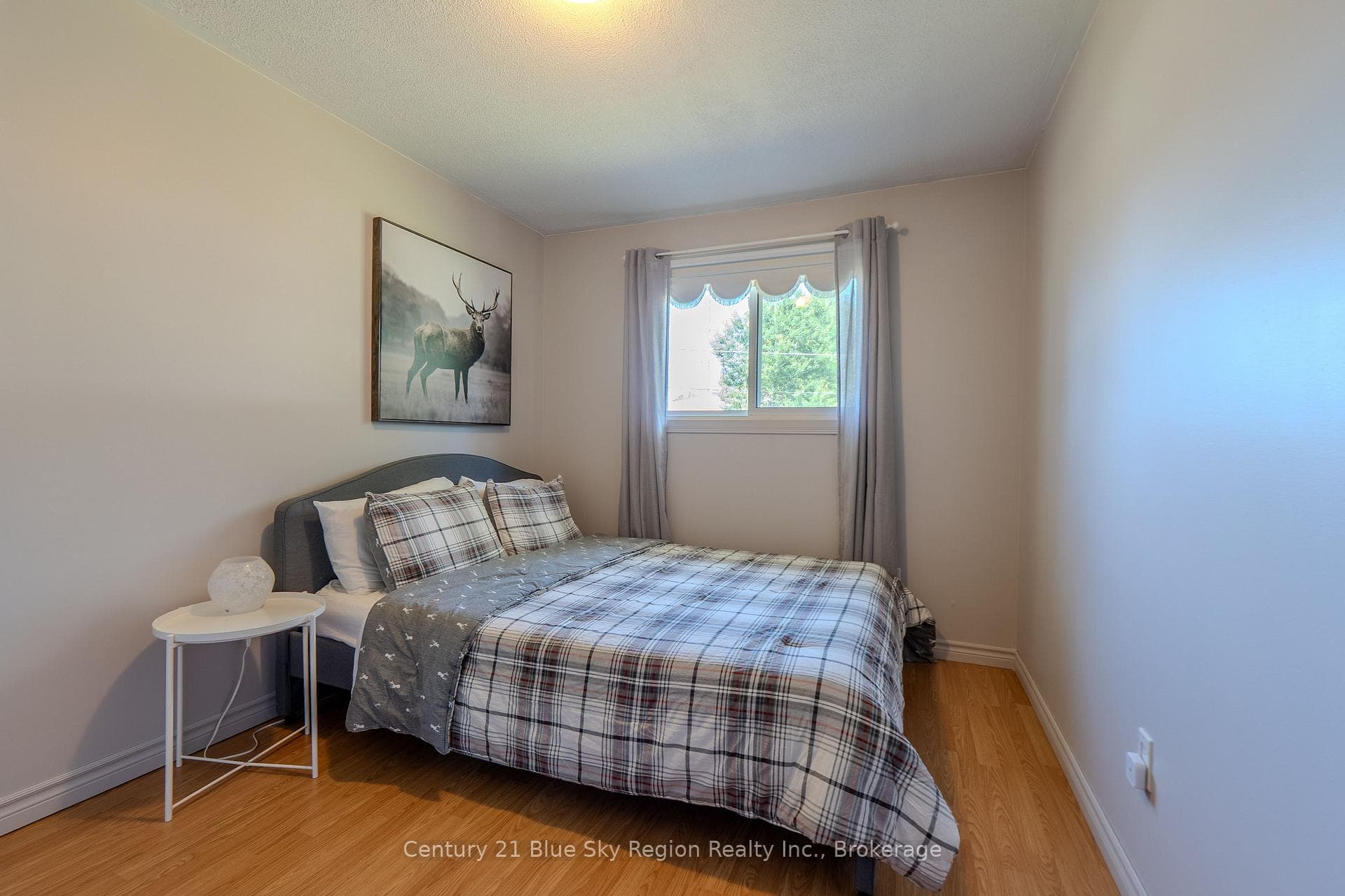 7 Birch Crescent photo 14