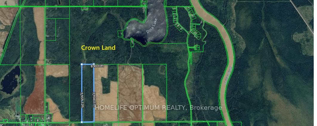 76 Acres in Glackmeyer Township PCL 3225 N/A photo 7