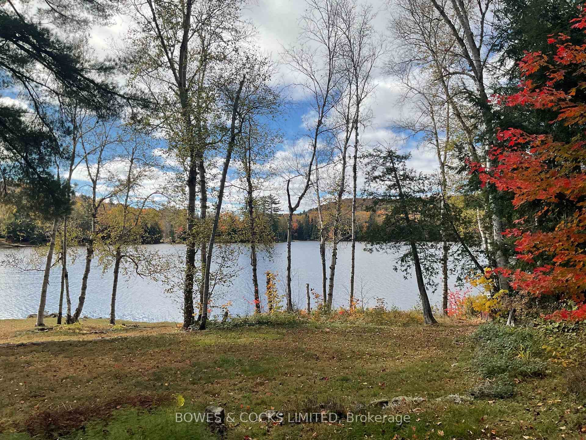 890 Dam Road photo 11
