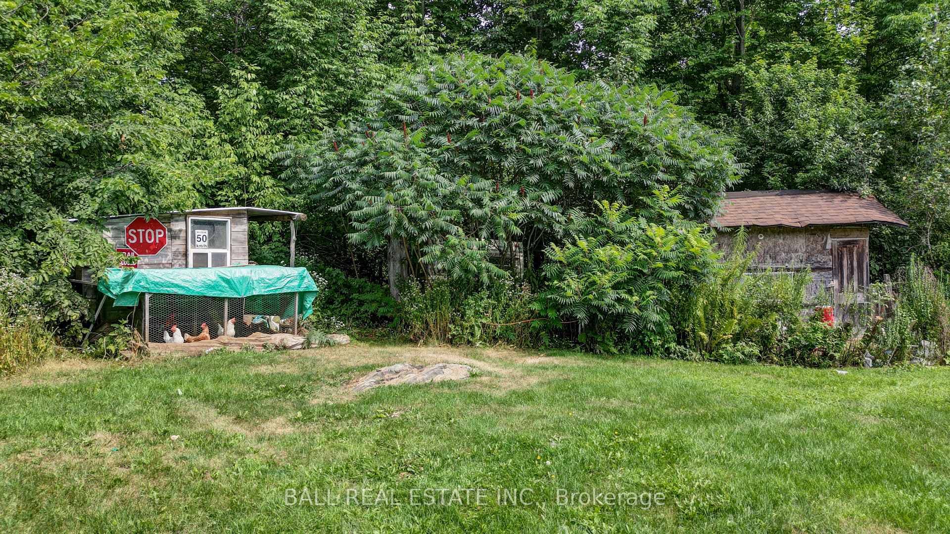 1156 St Ola Road photo 19
