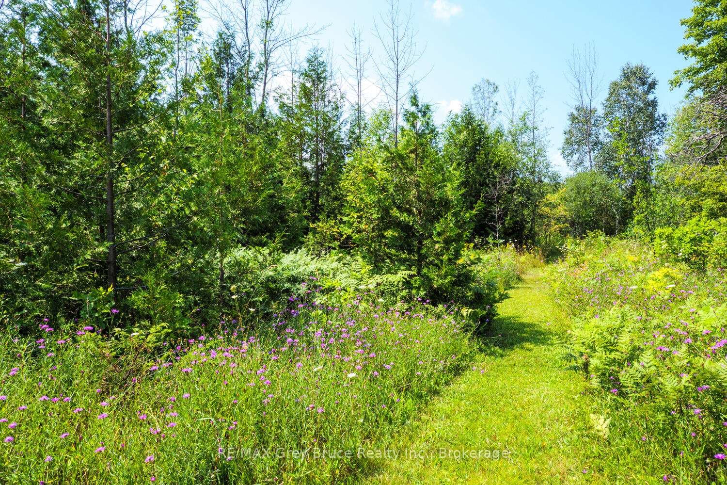 65 Lawrence Road photo 32