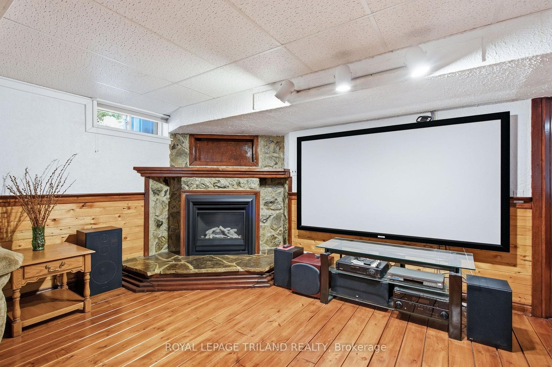 Recreation Room - fireplace