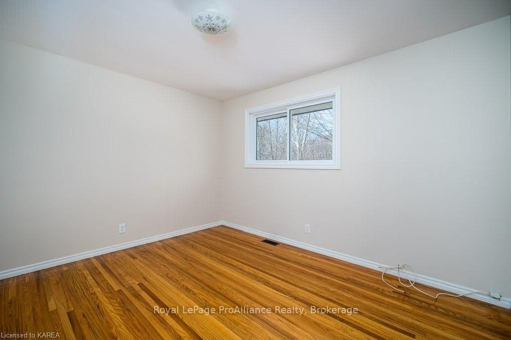 22 WOLFE Street photo 20