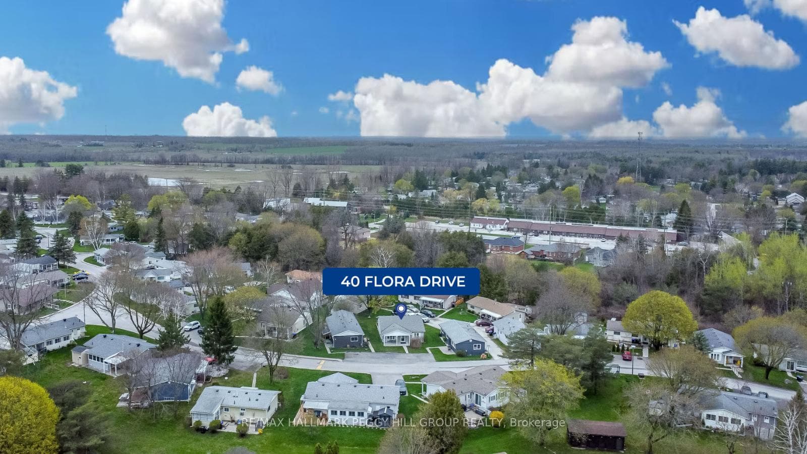 40 Flora Drive Drive photo 18
