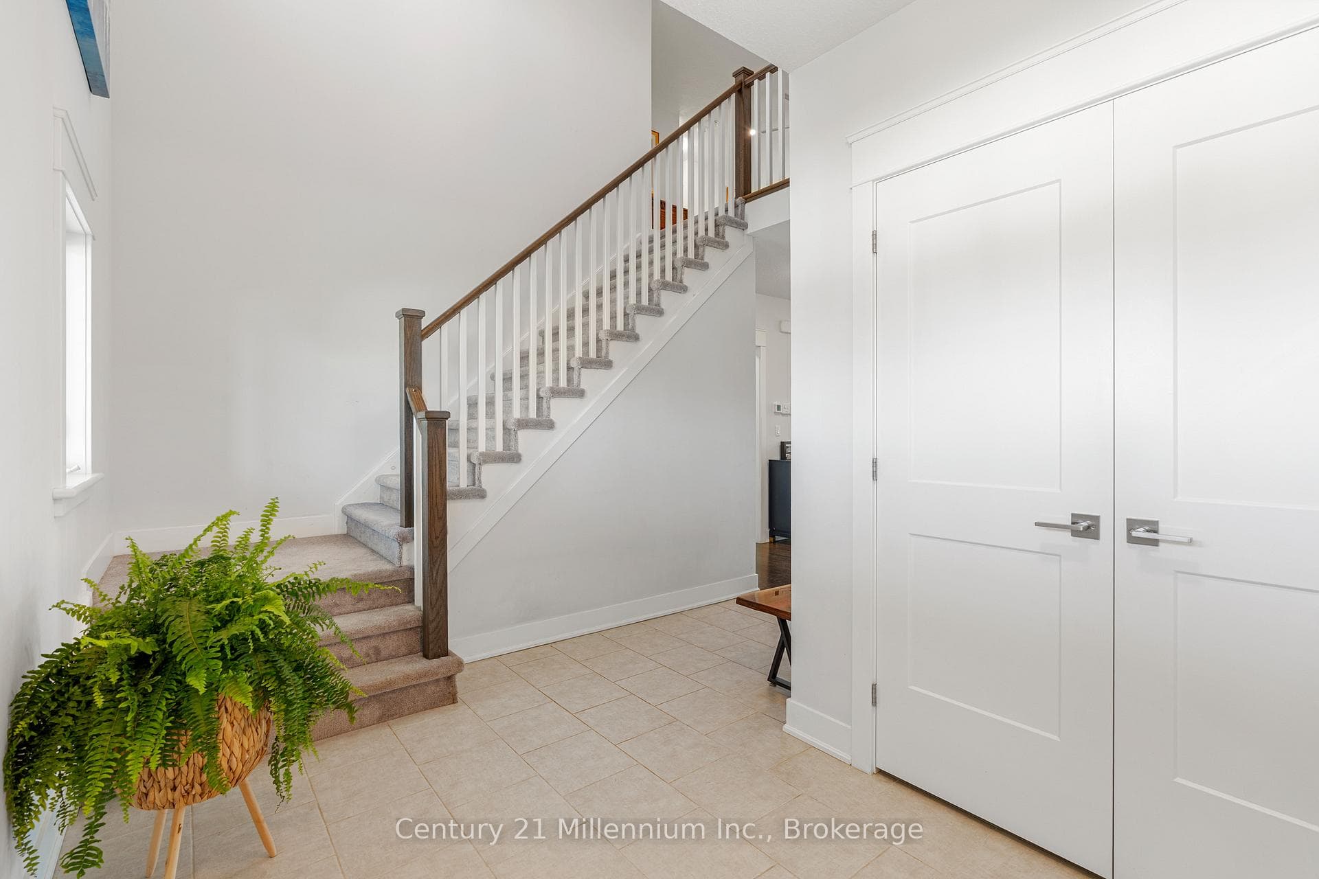 206 Snowberry Lane photo 15