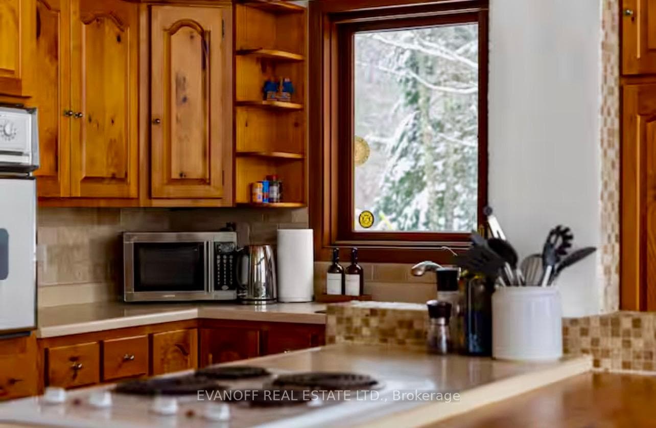 27 Waite Court photo 17