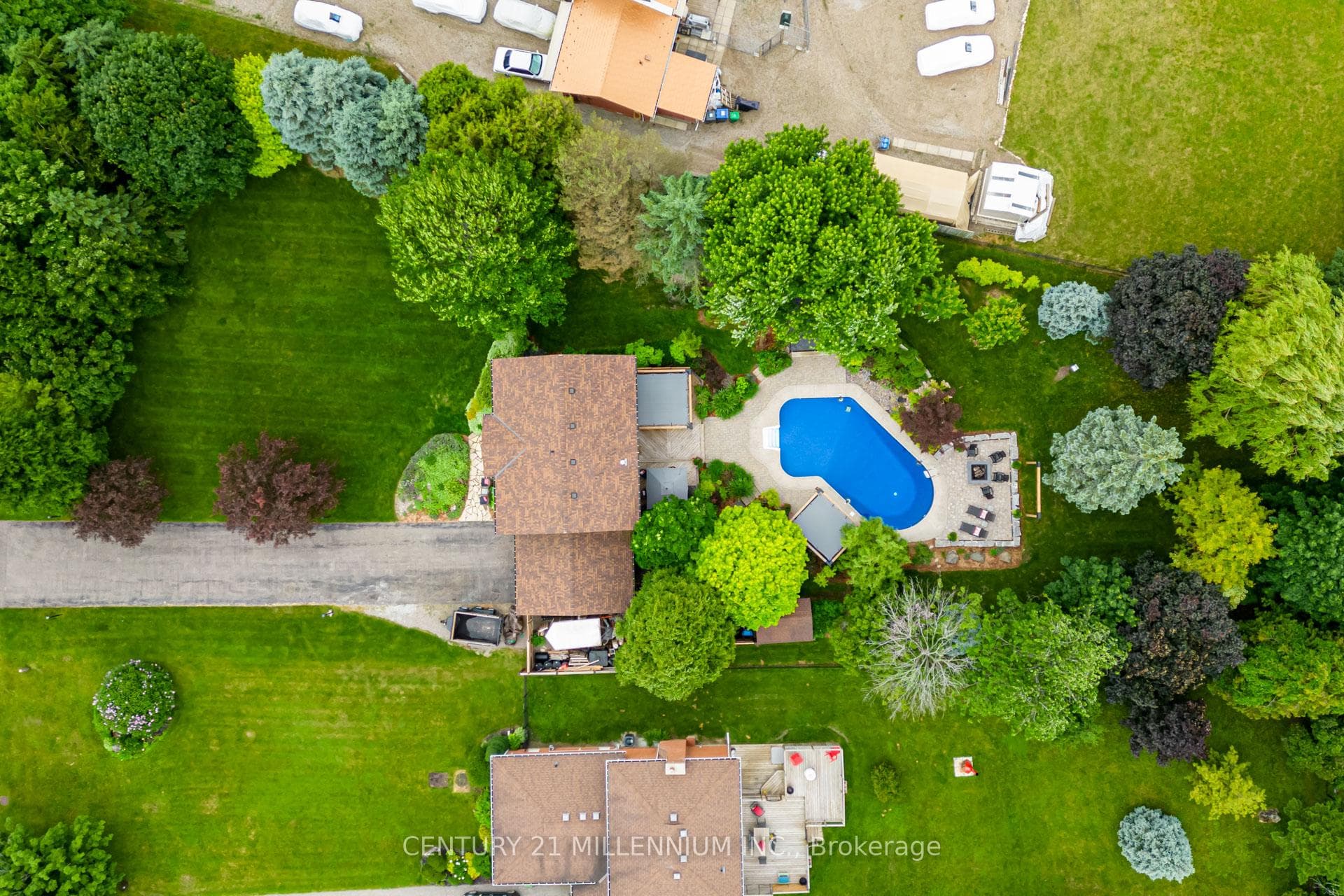 26 Emeline Street photo 39