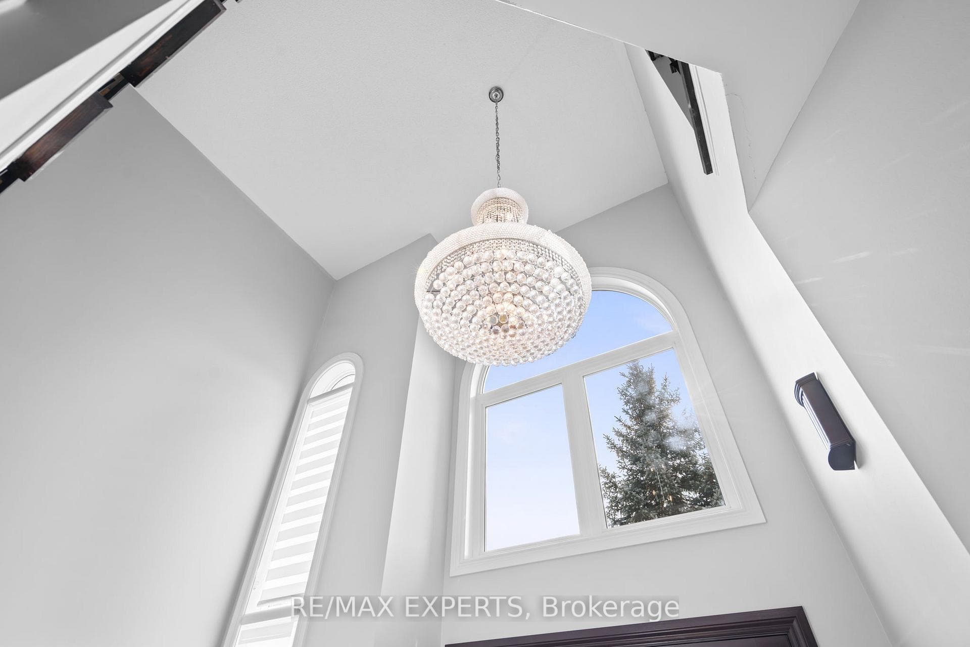 39 Michelle Drive photo 20