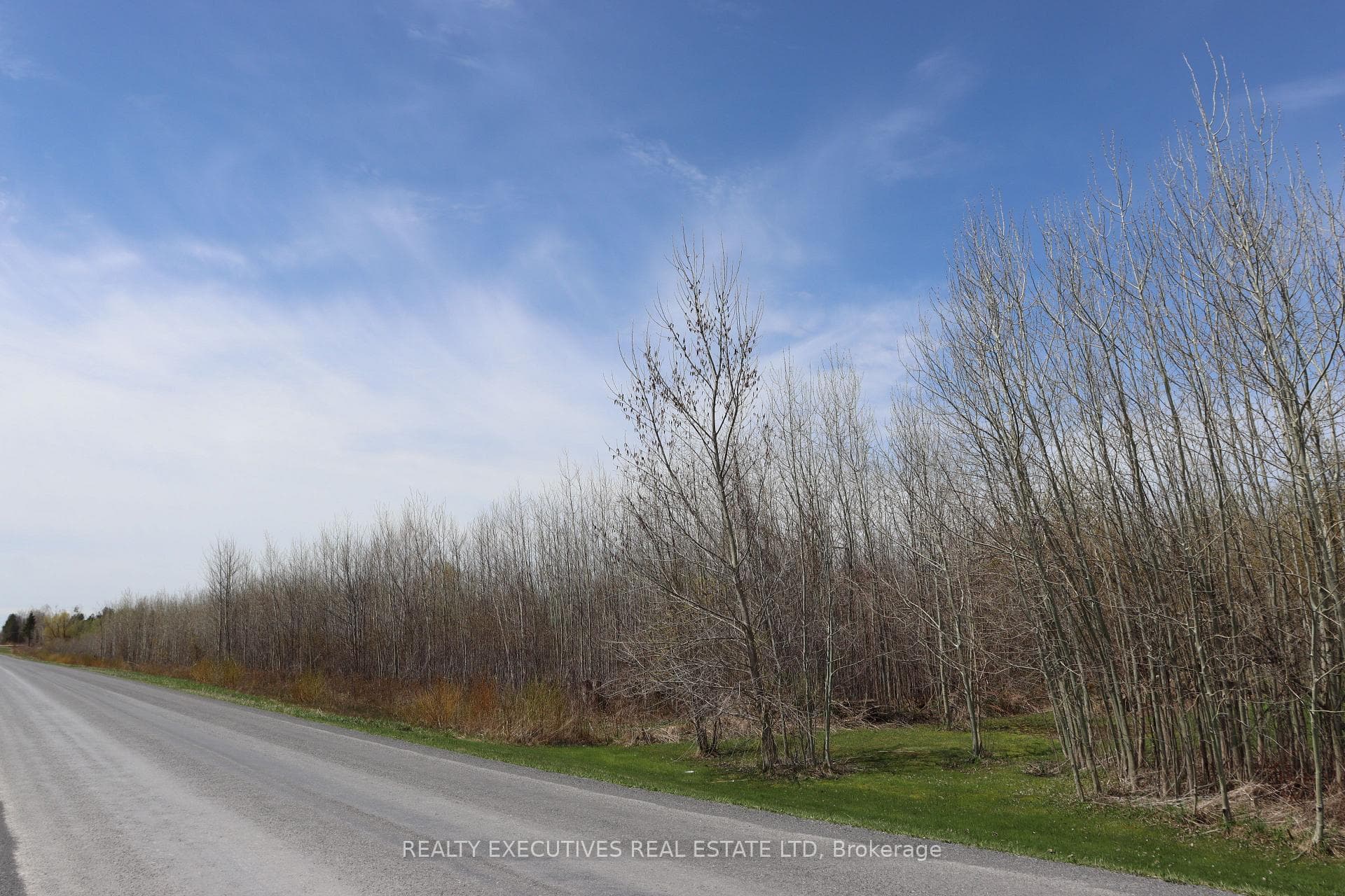 15905 Concession 2-3 Road photo 7