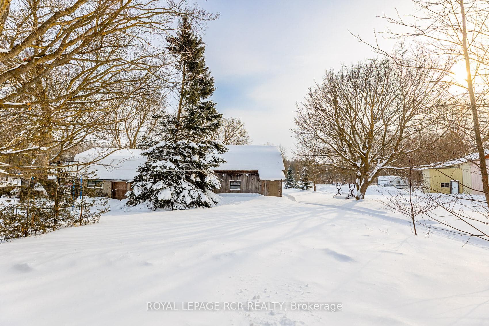 95 Amaranth Street photo 31