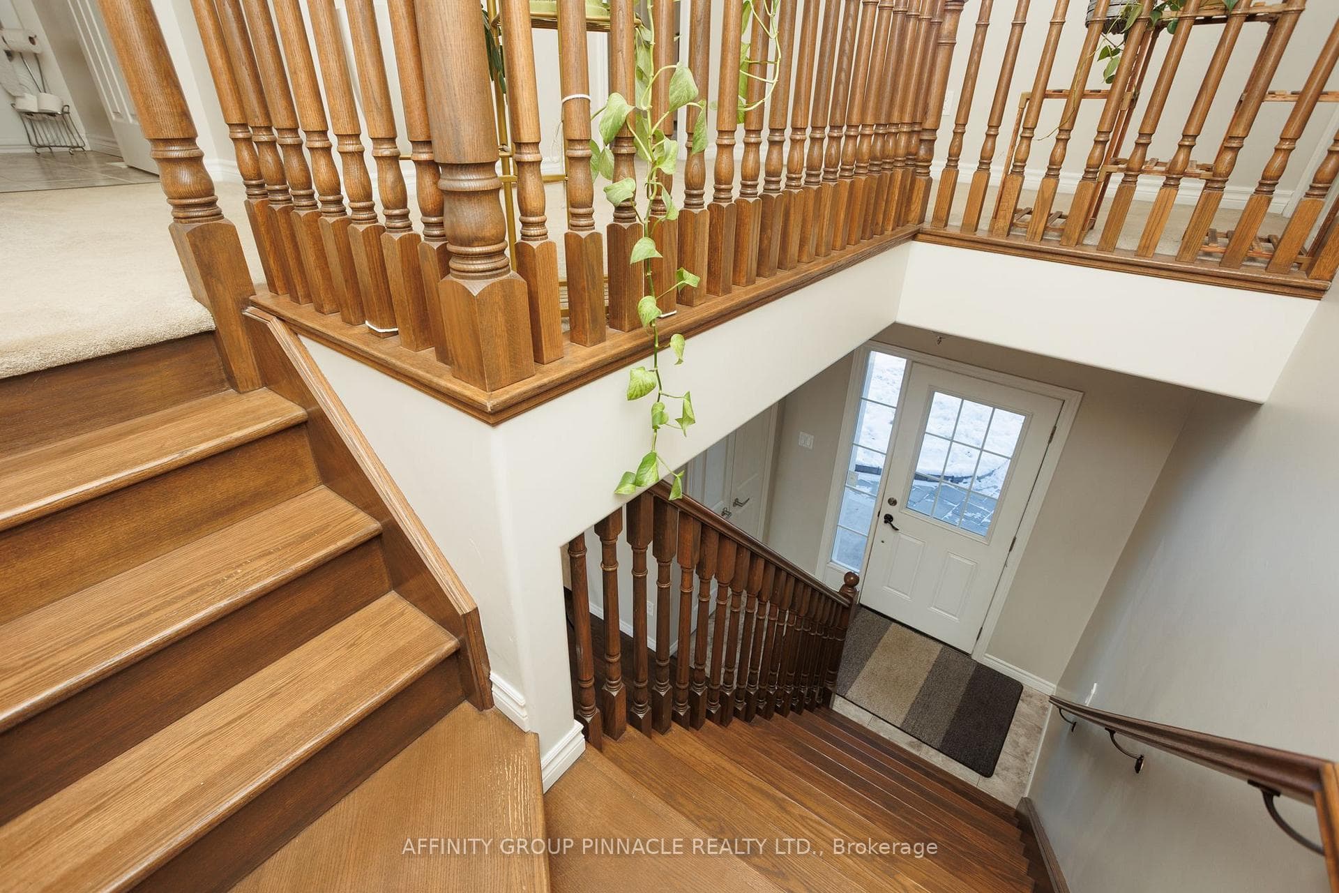 11 Moynes Court photo 19