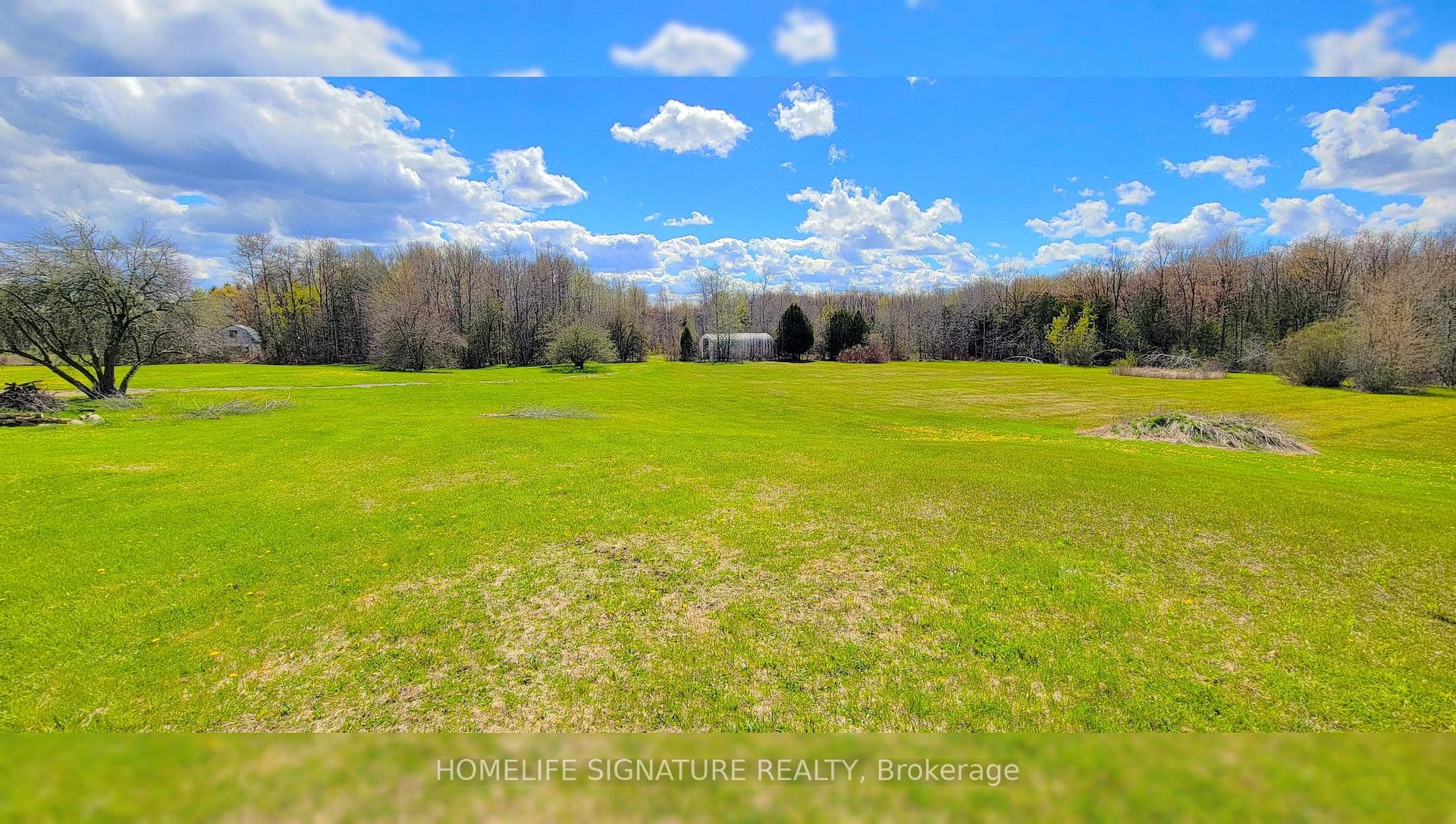 5273 25 Side Road photo 8