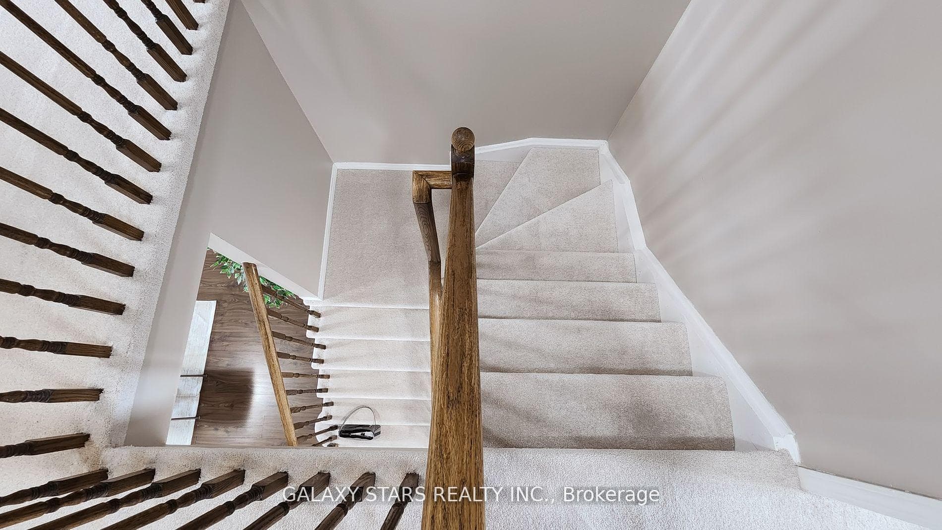 36 Stonewood Street photo 9