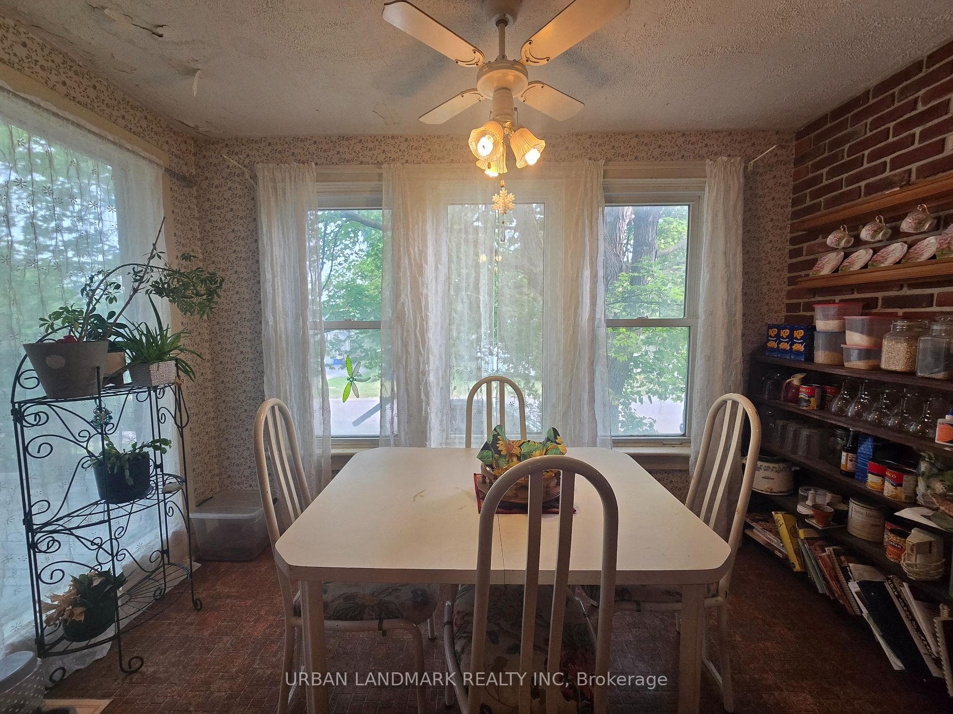 55 Nelson Street photo 17